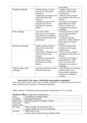 Susipažinimas su kompiuterių tinklų technologijomis ir topologijomis 2 puslapis