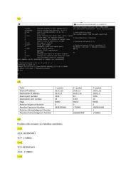 Tinklo paketų stebėjimo ir analizės įrankiai 7 puslapis