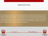 ​LR Baudžiamojo proceso kodekso ir Baudžiamojo kodekso santykis 13 puslapis