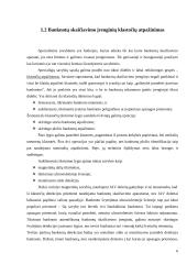 Banknotų skaičiavimo įrenginiai 6 puslapis