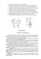 Deklinacija 6 puslapis
