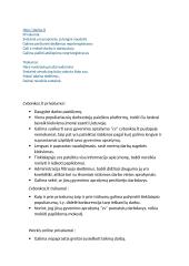 Darbo skelbimų analizė 13 puslapis