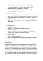 Darbo skelbimų analizė 14 puslapis