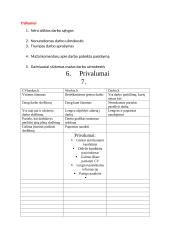 Darbo skelbimų analizė 18 puslapis