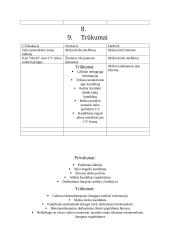 Darbo skelbimų analizė 19 puslapis