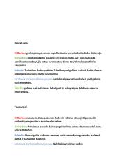 Darbo skelbimų analizė 3 puslapis