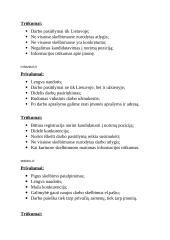 Darbo skelbimų analizė 8 puslapis