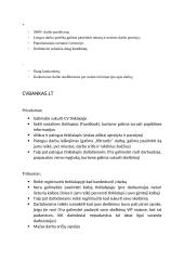 Darbo skelbimų analizė 10 puslapis