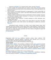 Motyvacijos įtaka darbuotojų rezultatams UAB ”Transekspedicija” 20 puslapis