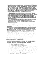 Verslo etikos žinių reikšmė verslo ir inovacijų vadybininkės (-o) veiklai 3 puslapis