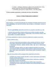 Verslo etikos žinių reikšmė verslo ir inovacijų vadybininkės (-o) veiklai 4 puslapis