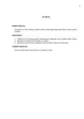 Juozas Senkus ir jo veikla 2 puslapis