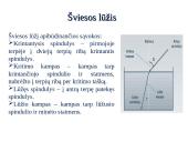 Skaidrės - šviesos lūžis 4 puslapis