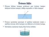 Skaidrės - šviesos lūžis 6 puslapis
