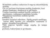 Skaidrės - augalų audiniai 17 puslapis