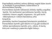 Skaidrės - augalų audiniai 18 puslapis