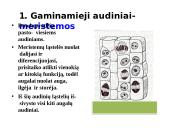 Skaidrės - augalų audiniai 3 puslapis