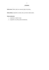 Mados raida 2 puslapis
