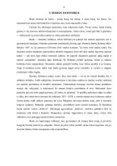 Mados raida 6 puslapis
