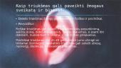 Triukšmo poveikis žmogui (skaidrės) 13 puslapis