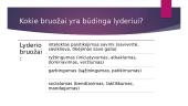Skaidrės apie lyderystę 3 puslapis