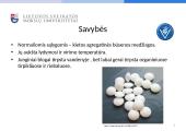 Policikliniai aromatiniai angliavandeniliai 4 puslapis