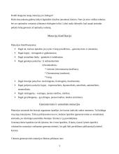 Mutacijos, mutacijų klasifikacija 3 puslapis