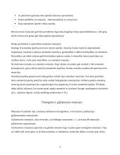 Mutacijos, mutacijų klasifikacija 4 puslapis