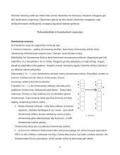 Mutacijos, mutacijų klasifikacija 6 puslapis