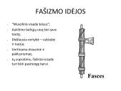 Fašizmas Italijoje  4 puslapis
