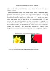 Regos refleksinė epilepsija 12 puslapis