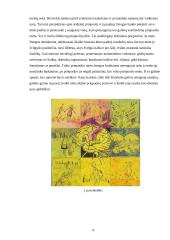 Regos refleksinė epilepsija 9 puslapis