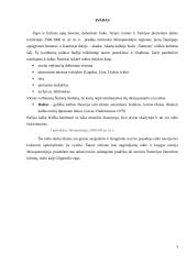 Raštas ir knyga Mesopotamijoje 2 puslapis