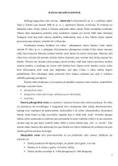 Raštas ir knyga Mesopotamijoje 3 puslapis