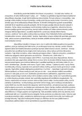 Maišto tema literatūroje (kalbėjimas)