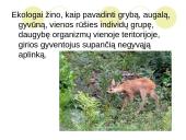 Ką tikria ekologiją? 11 puslapis