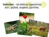 Ką tikria ekologiją? 12 puslapis