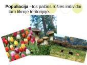 Ką tikria ekologiją? 13 puslapis