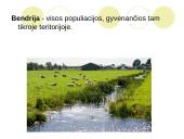 Ką tikria ekologiją? 14 puslapis