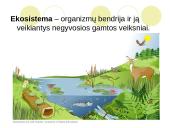 Ką tikria ekologiją? 15 puslapis