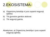 Ką tikria ekologiją? 18 puslapis