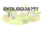 Ką tikria ekologiją? 4 puslapis