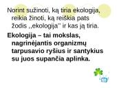 Ką tikria ekologiją? 6 puslapis