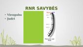 Nukleorūgštys. RNR (Ribonukleorūgštis) 5 puslapis