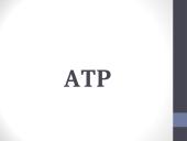 ATP (adenozintrifosfatas)