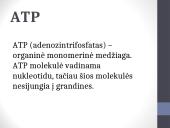 ATP (adenozintrifosfatas) 2 puslapis