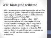 ATP (adenozintrifosfatas) 5 puslapis