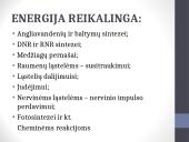 ATP (adenozintrifosfatas) 7 puslapis