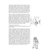 Individo slauga 17 puslapis