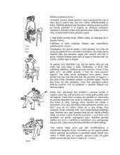 Individo slauga 9 puslapis